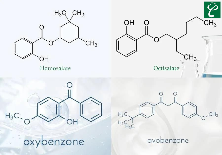 Kem chống nắng cần tránh các thành phần độc hại như Oxybenzone, Octinoxate