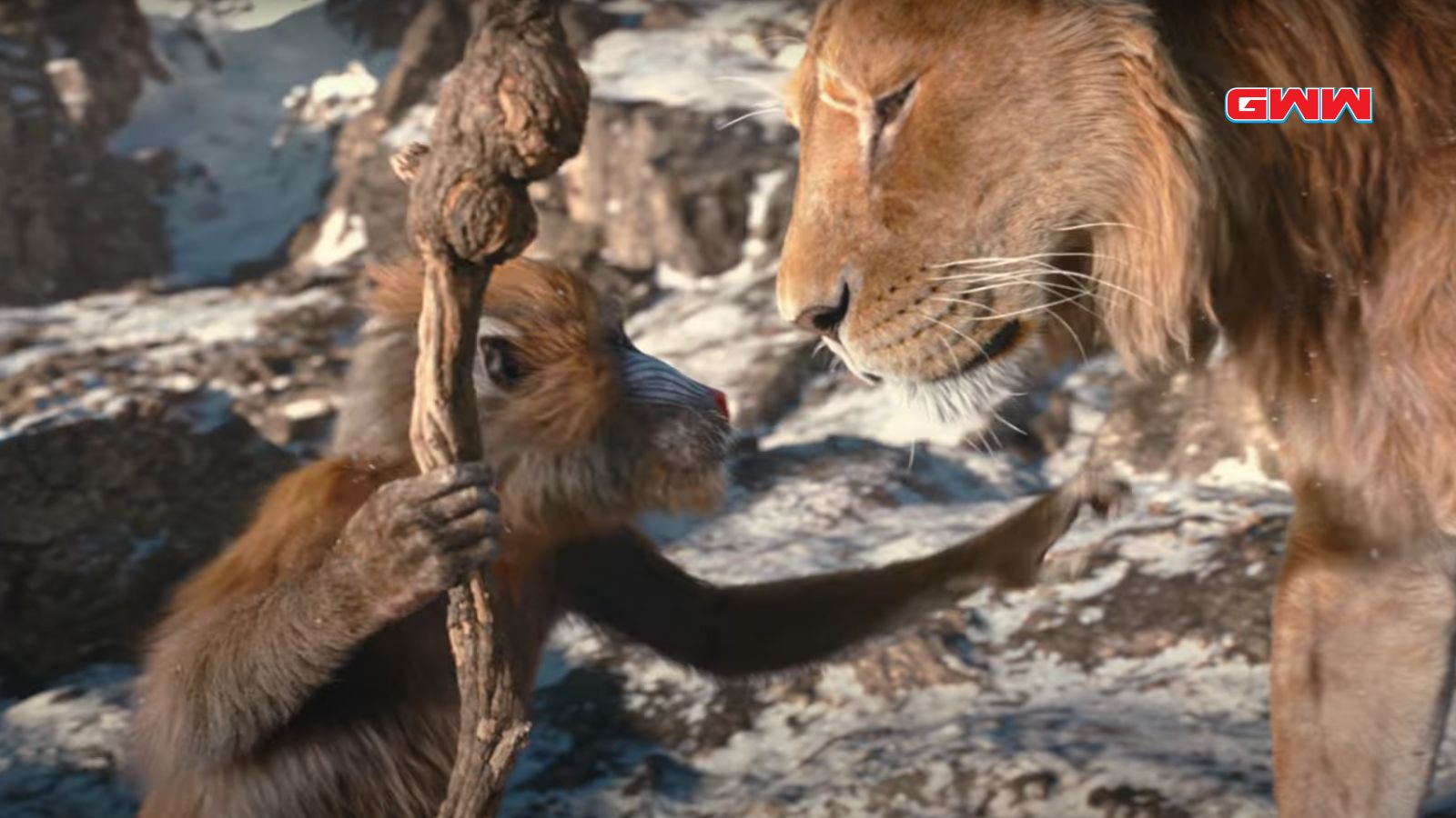 Mufasa con Rafiki, película Mufasa: El Rey León.