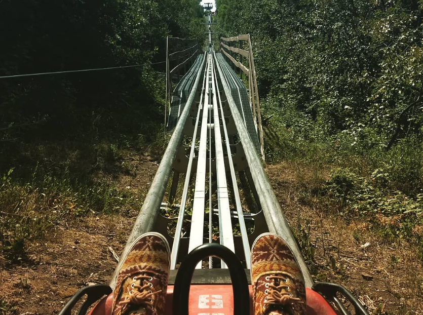 Alpine Coaster