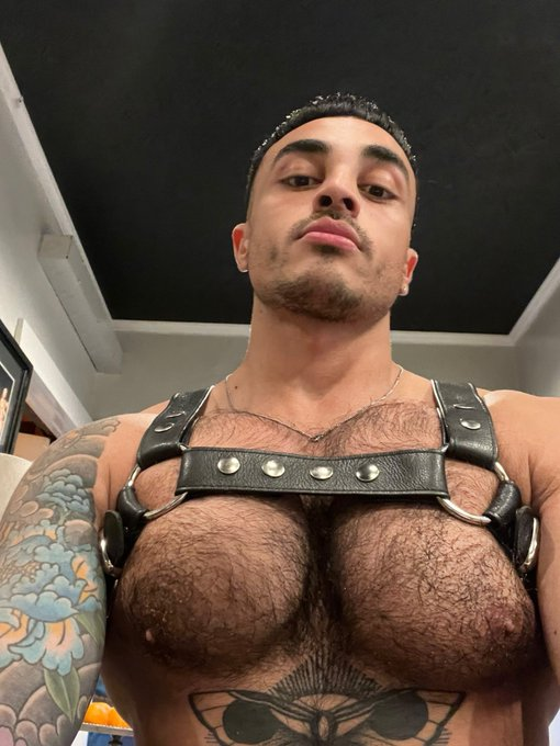 Nick_at_Night wearing a leather gay chest harness showing off his gay hairy chest