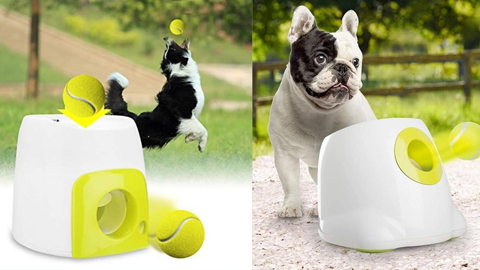 Automatic Pet Tennis Ball