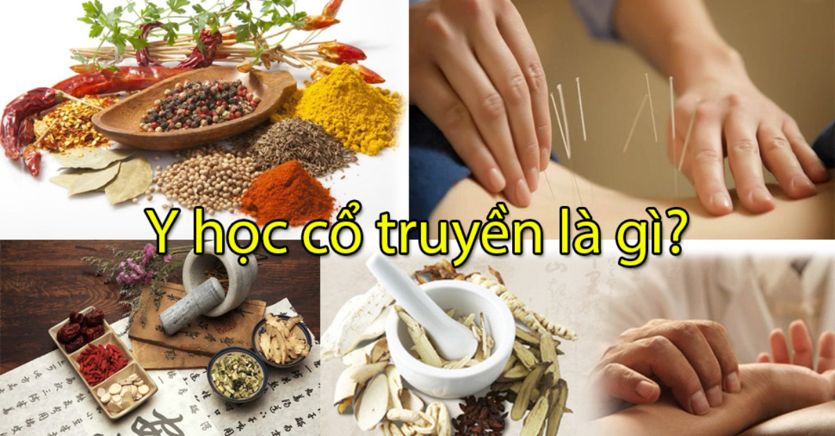 Y học cổ truyền là gì? Những phương pháp y học cổ truyền TRƯỜNG TRUNG ...