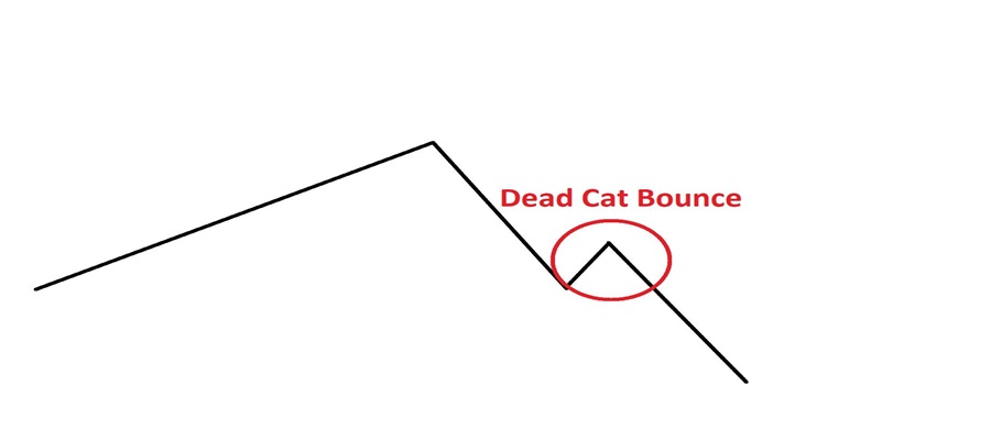 تفاوت الگوی جهش گربه مرده با سایر الگوهای ادامه دهنده 