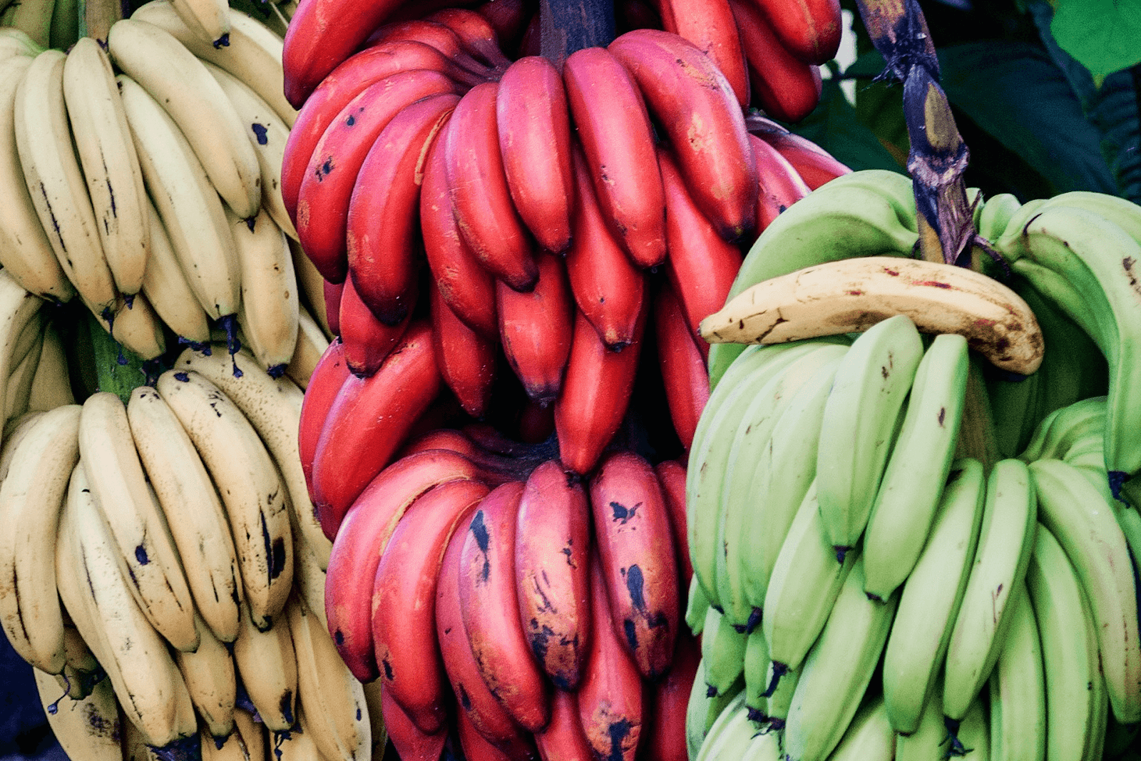 calories in a banana - varieties of banana