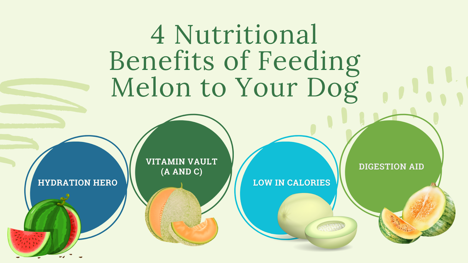 Nutritional benefits of feeding melon to dogs