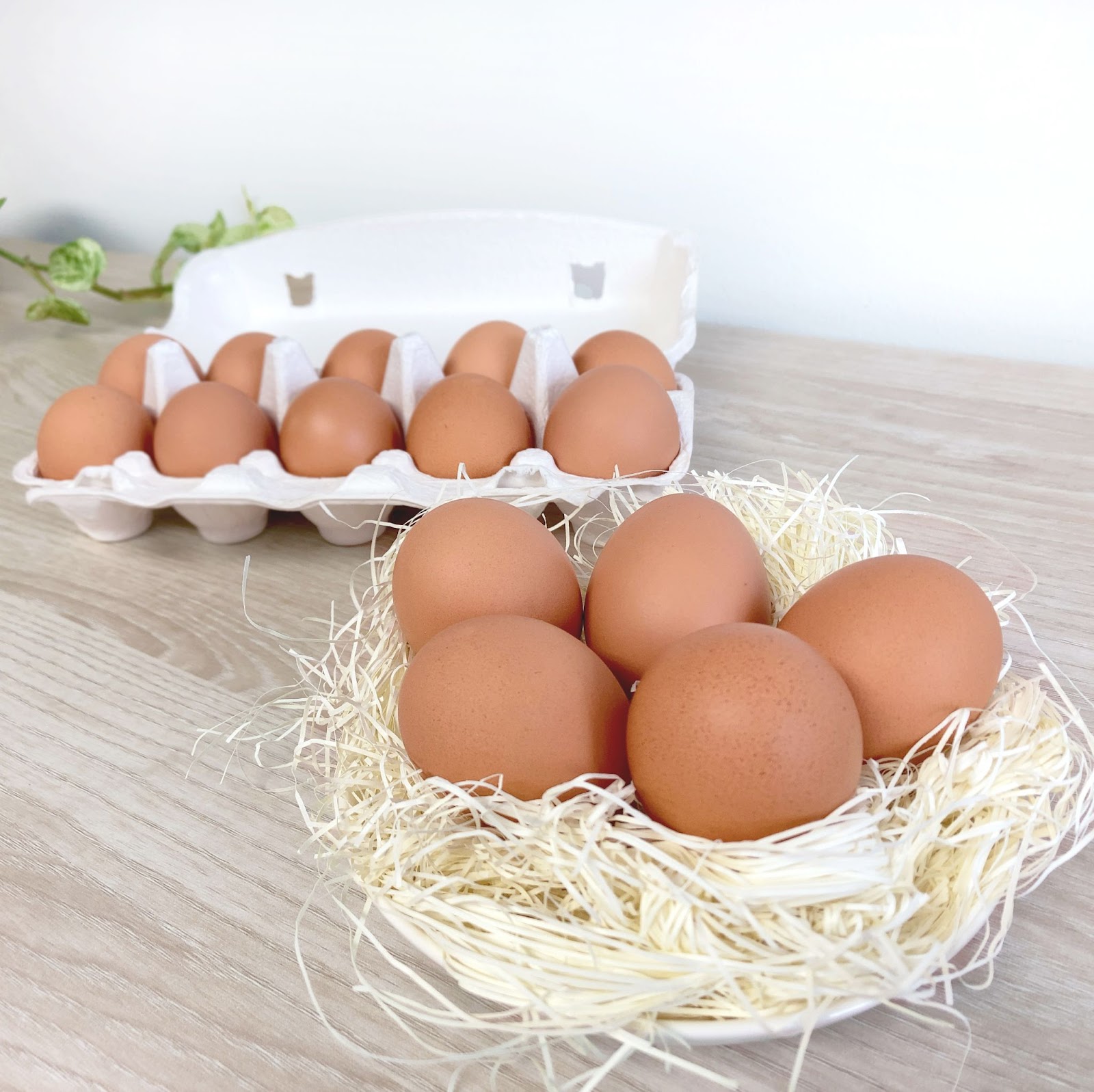 養鶏場歴68年のプロが最強のゆで卵の作り方、ゆで時間を紹介
