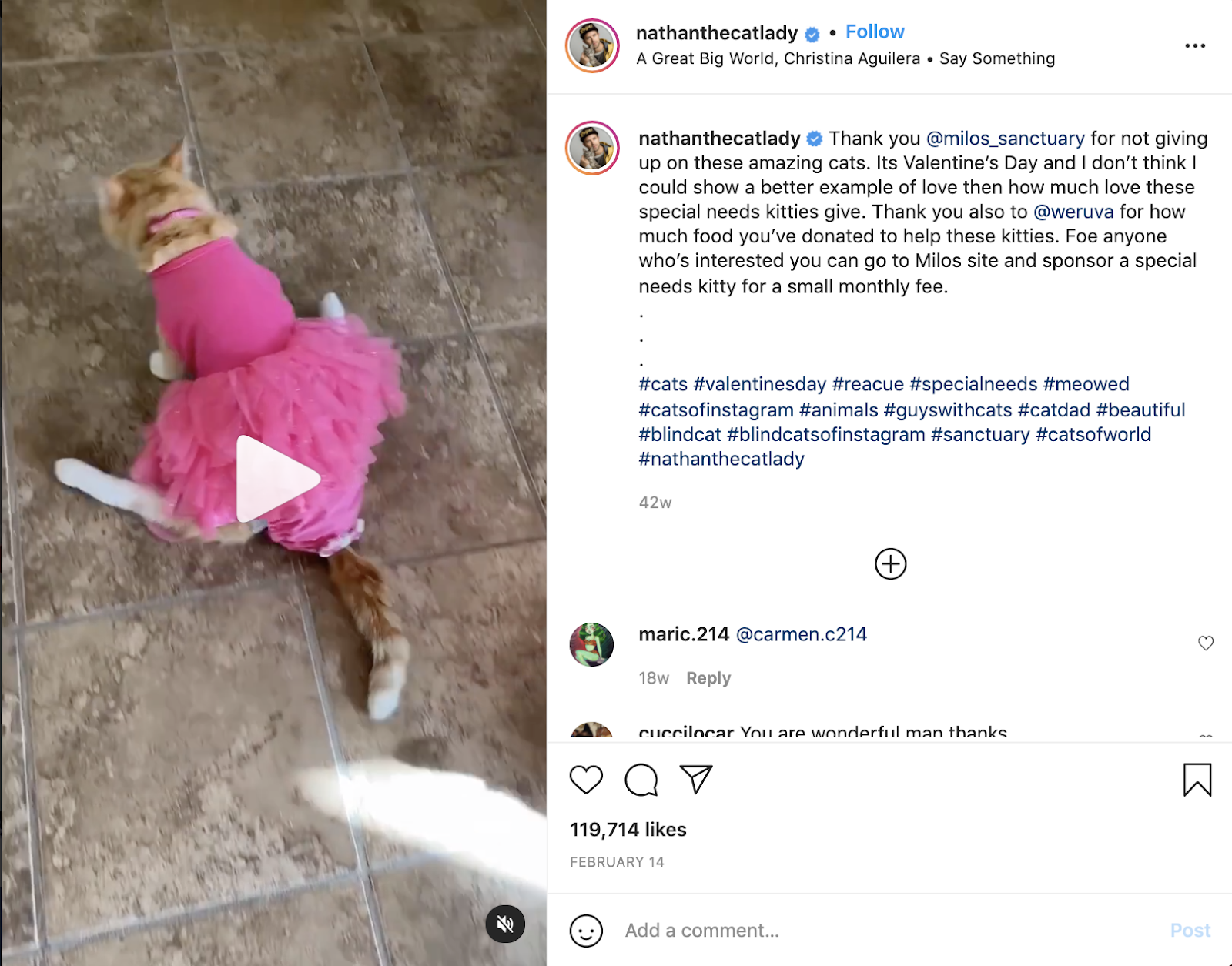 Screenshot of cat wearing hot pink tutu dragging its butt across the ground next to a caption thanking Milos Sanctuary and Weruva cat food company