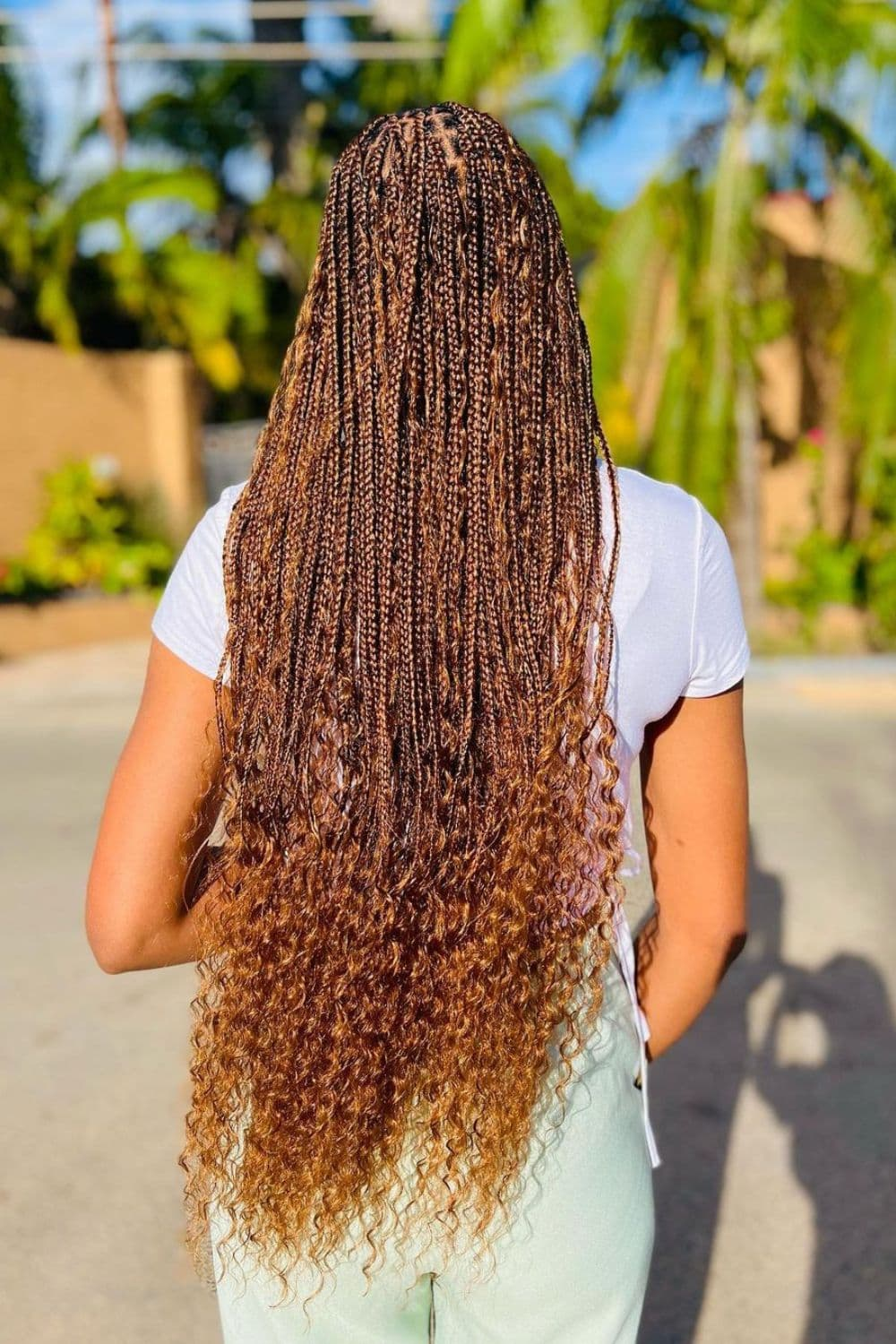 Back view  of the gorgeous goddess braids