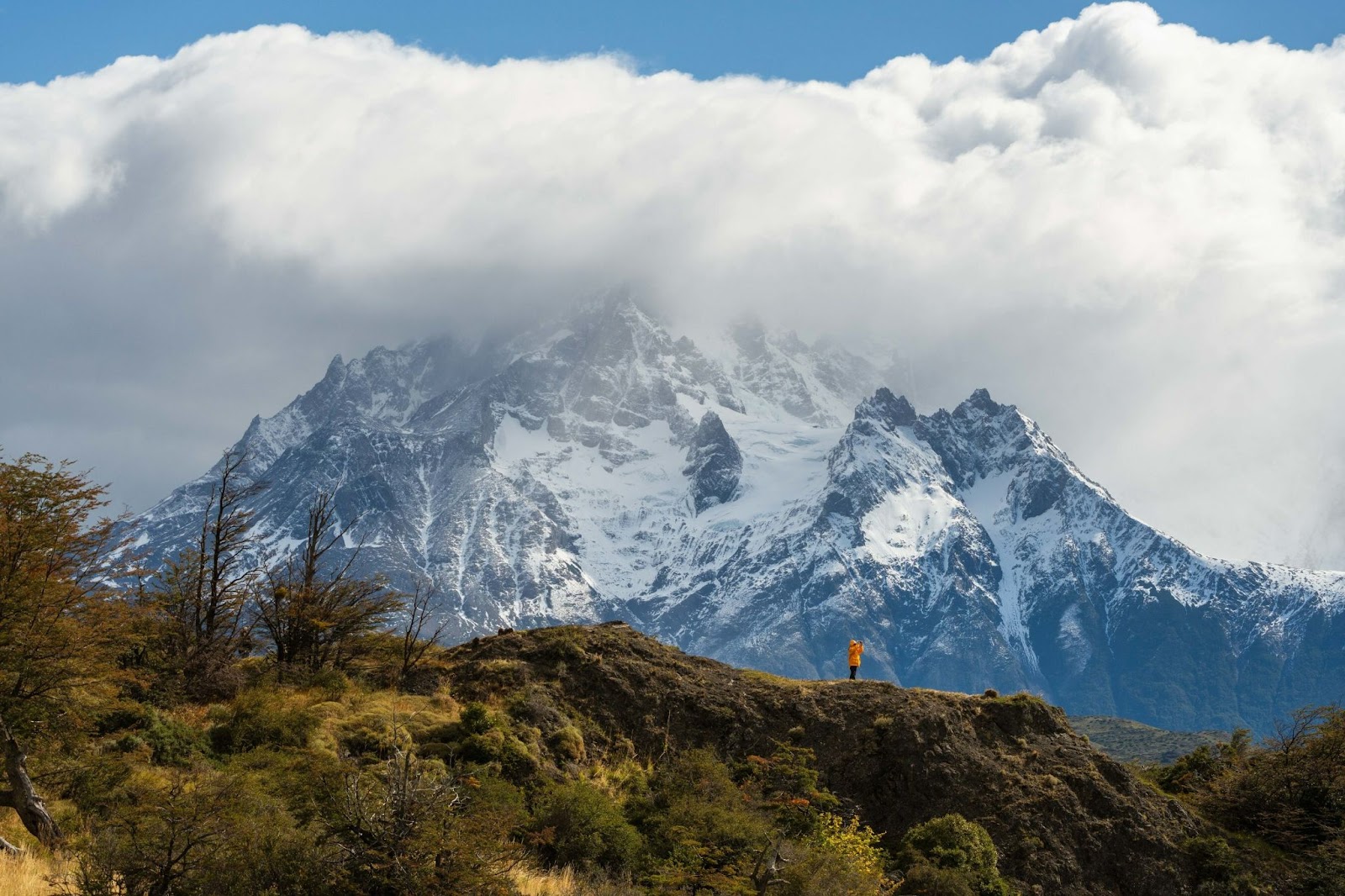 Quark in Patagonia