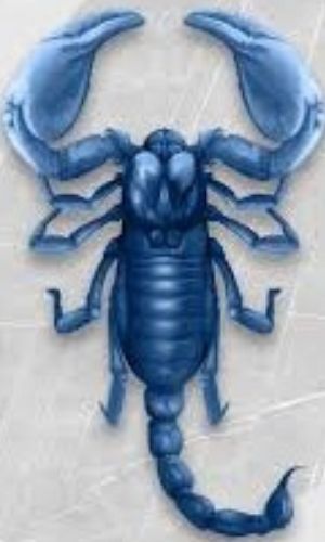 Blue Scorpion Peptide Venom