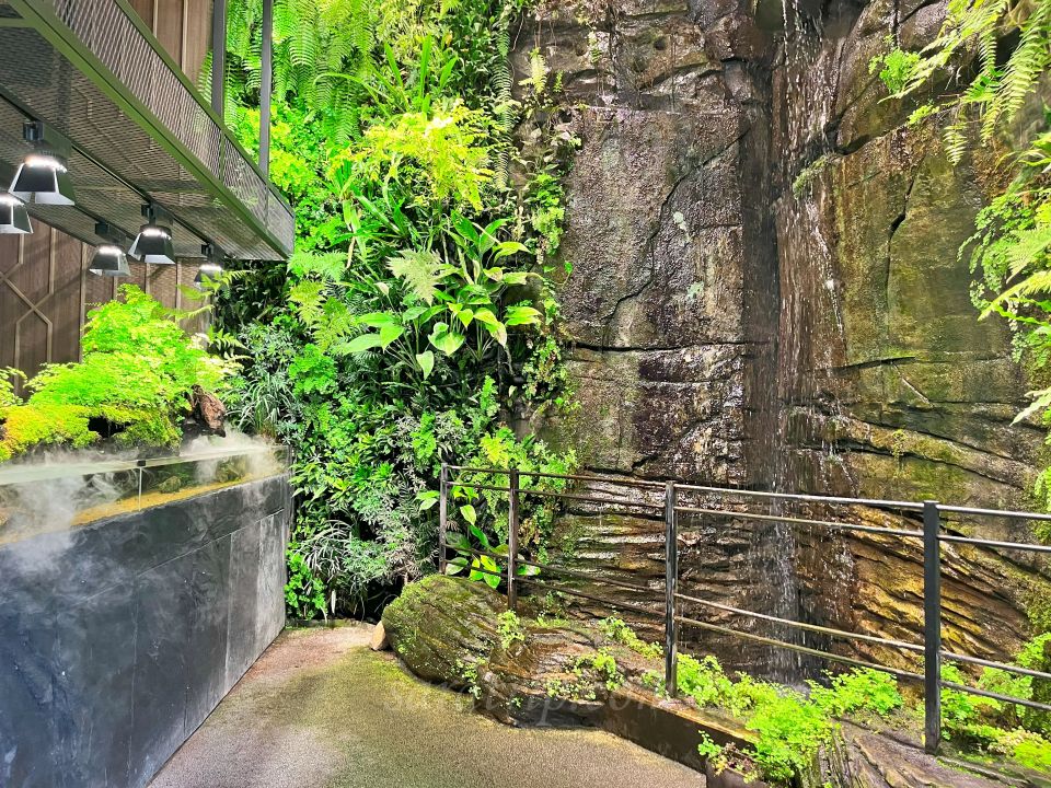 雲林古坑【八斗子海鮮餐廳】超奢華 “無菜單” 海鮮料理 藍洞水族箱 山城裡的網美海鮮餐廳 