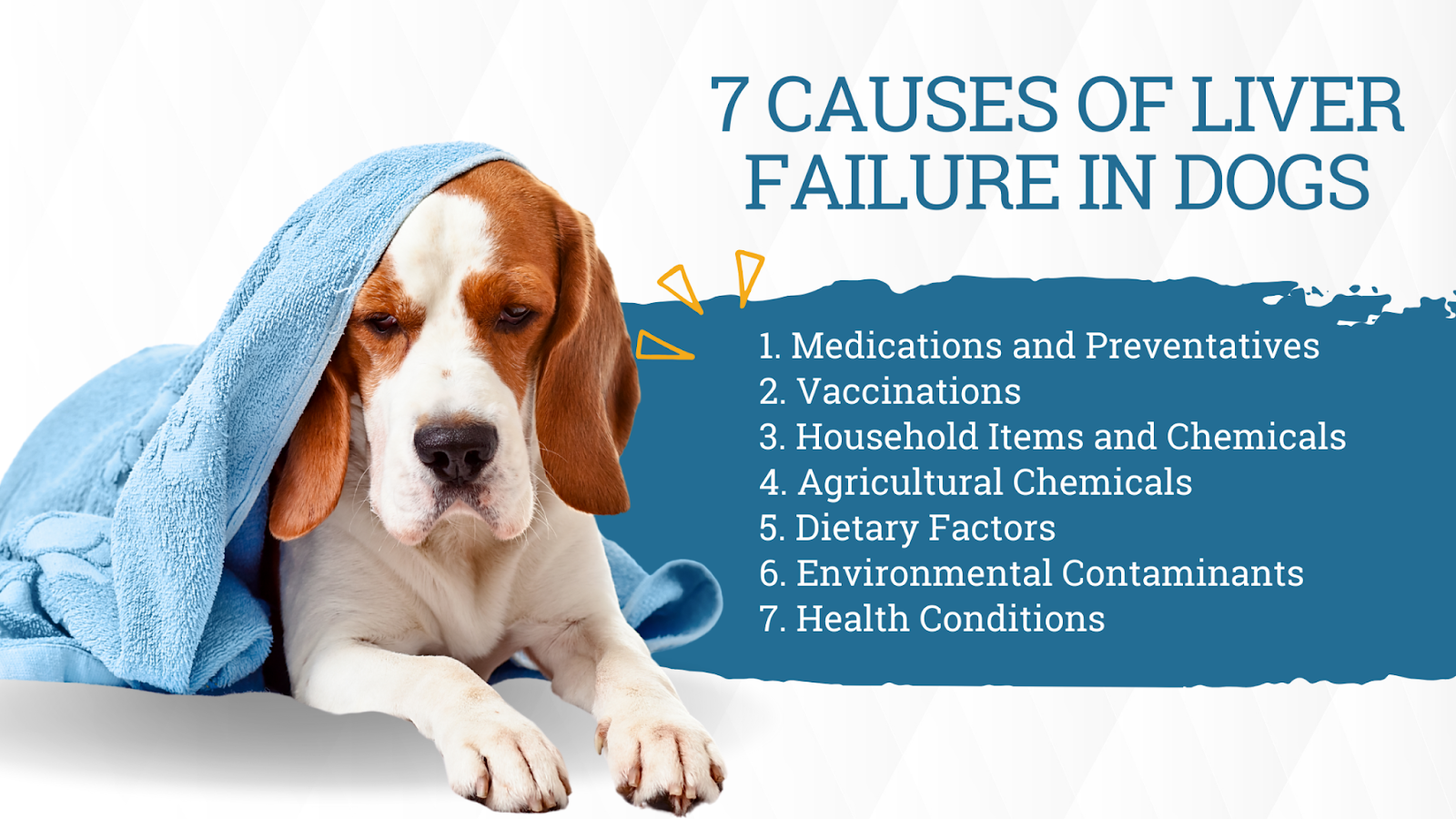 Causes of liver failure in dogs