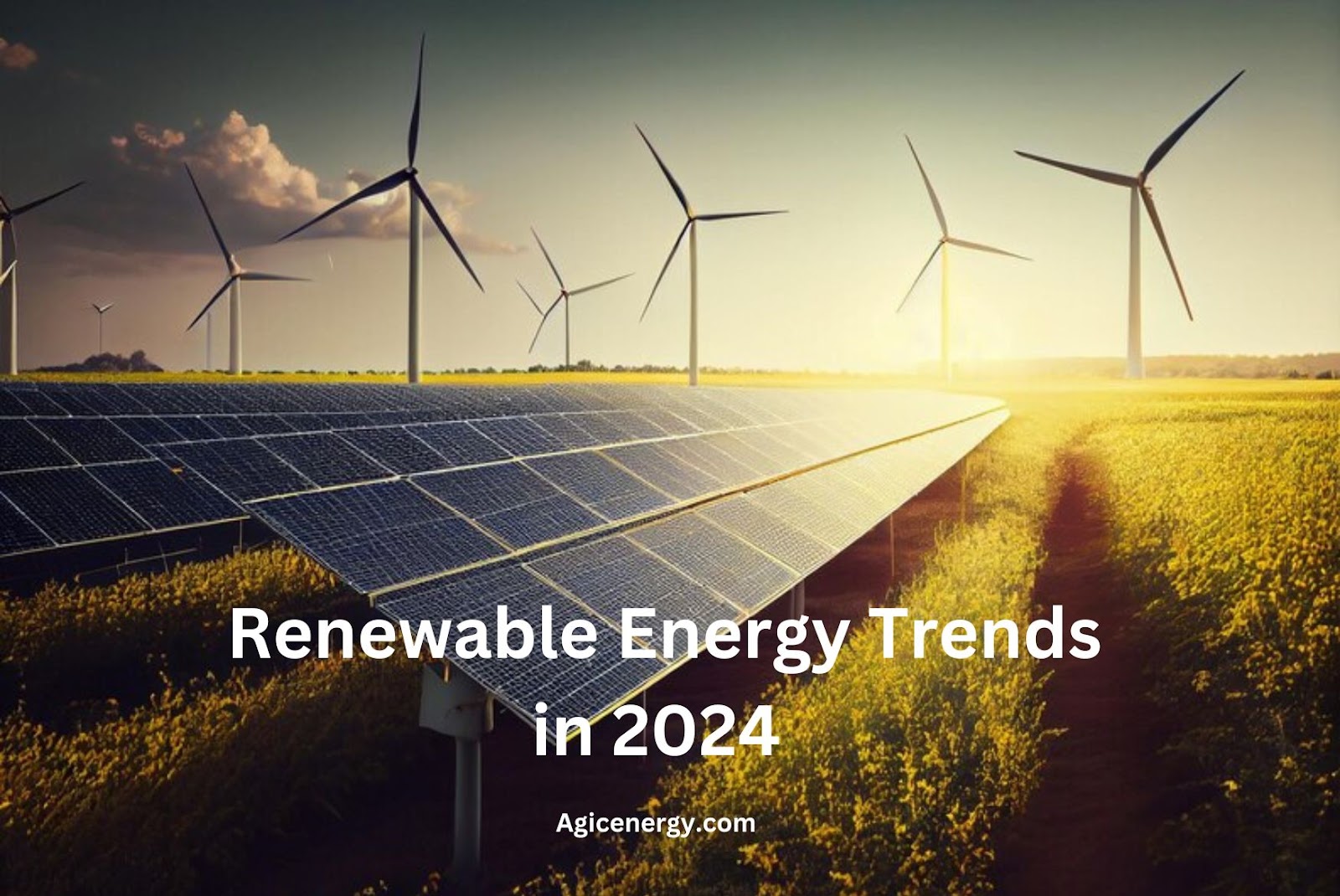 The Top Renewable Energy Trends in 2024