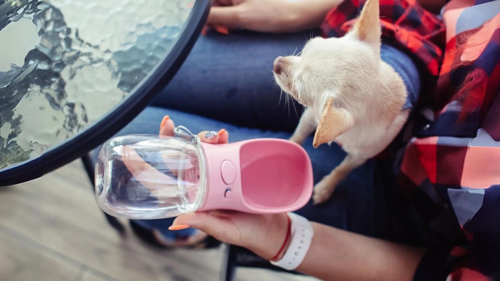 Pet Water Bottle