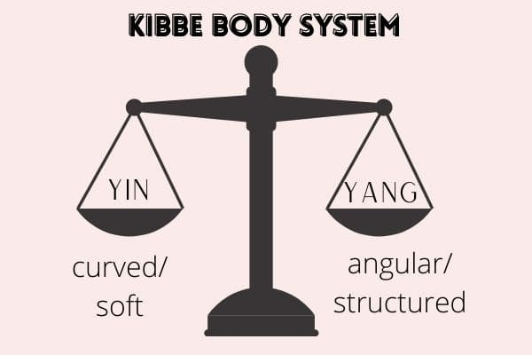 Chart showing the Yin and yang foundation of kibbe body types