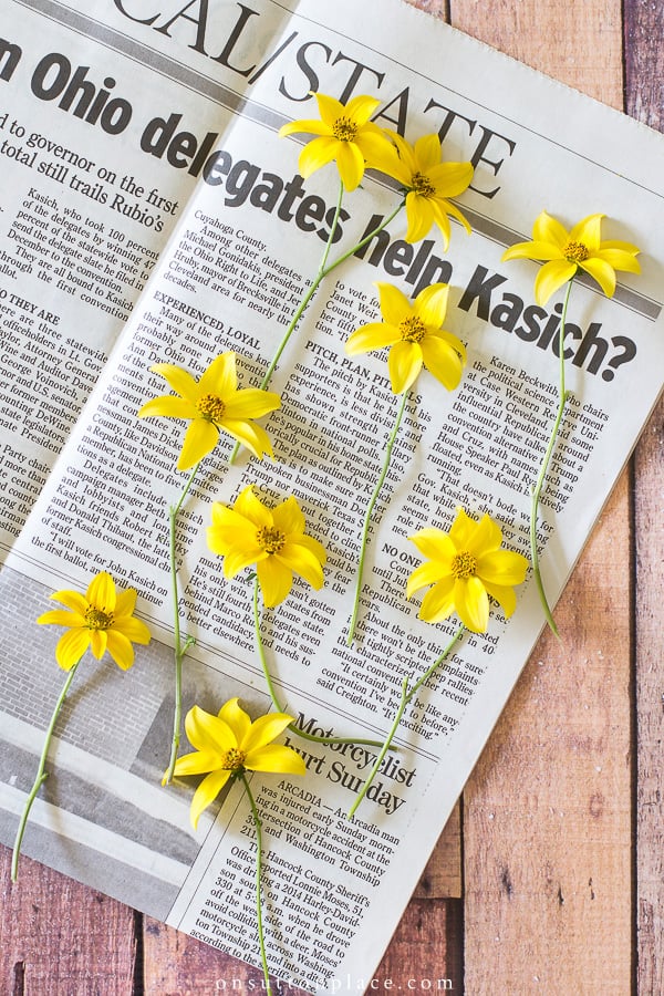 DIY Pressed Flower Art - On Sutton Place