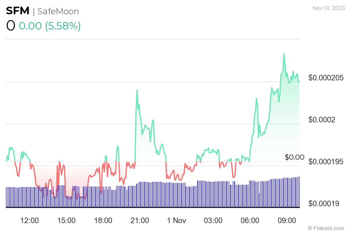 Does SafeMoon have a future?