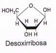 Diagrama, Esquemático

Descripción generada automáticamente