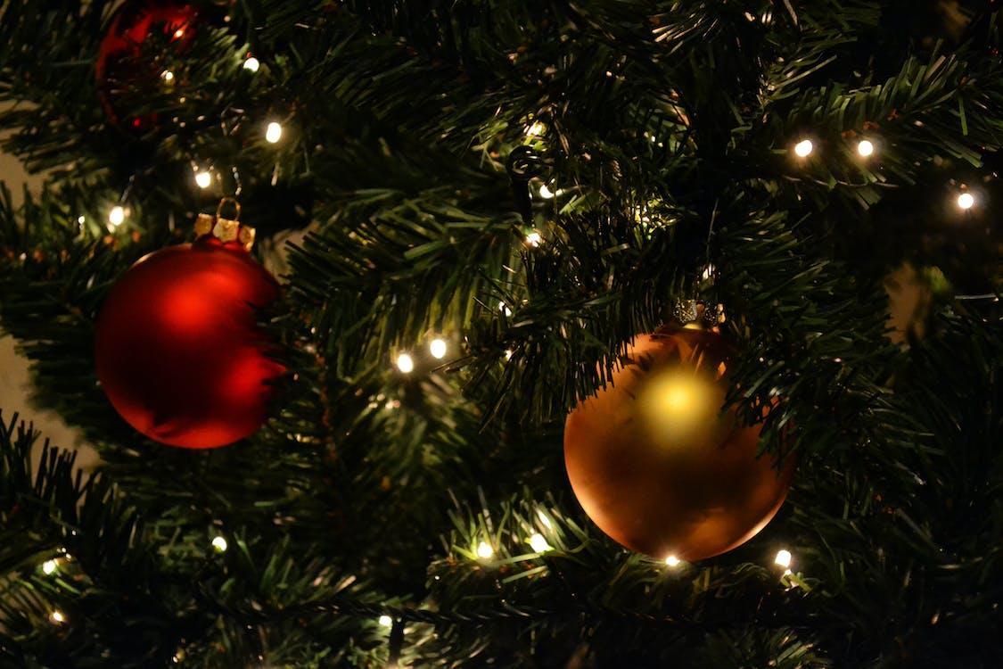 Description: Free Gold and Red Bauble on Christmas Tree Stock Photo