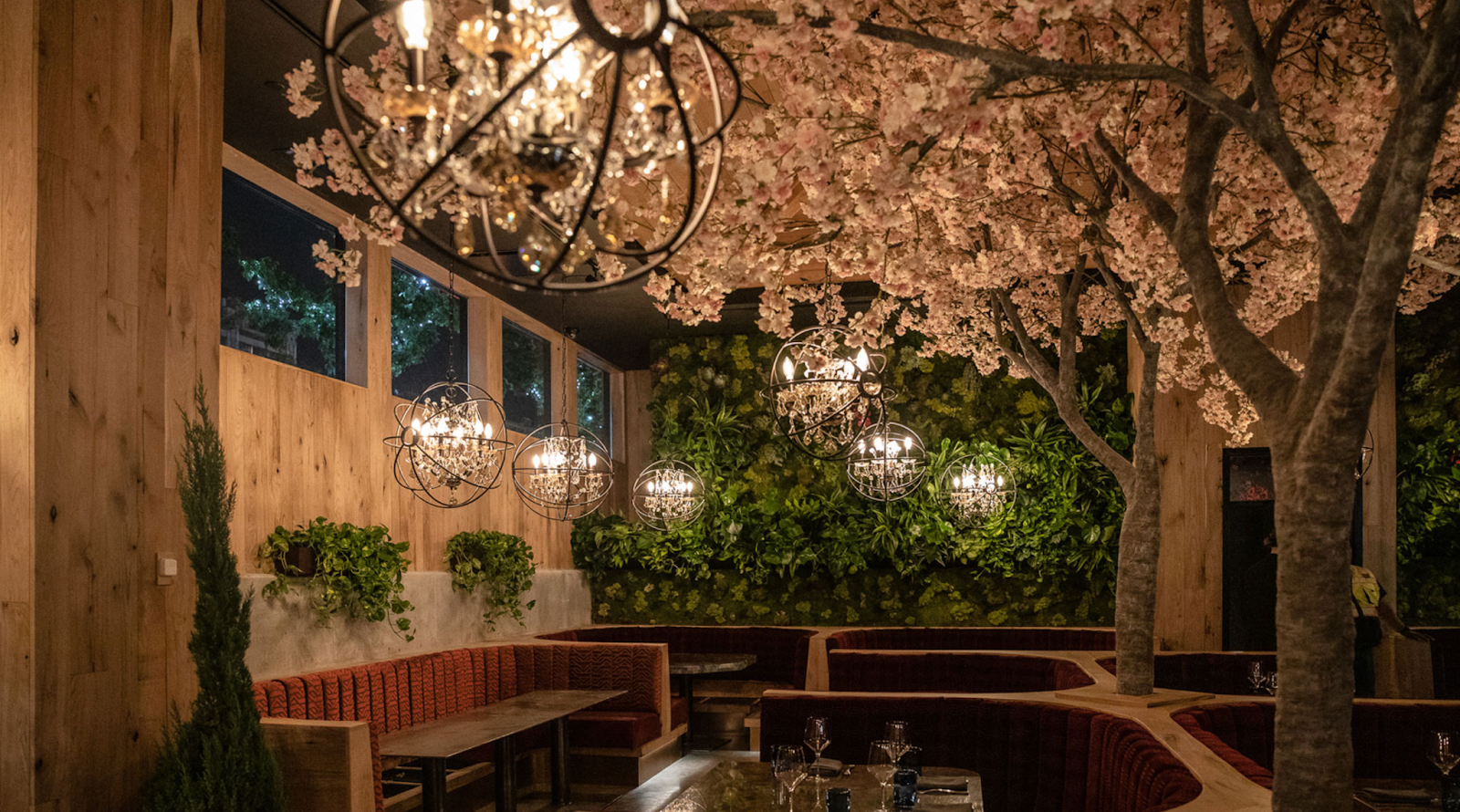 Cherry blossom trees hanging over a modern dining space filled with booths inside the restaurant Italian Graffiti in Salt Lake City.
