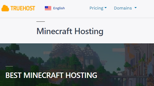 Truehost hosting Minecraft servers in Nairobi