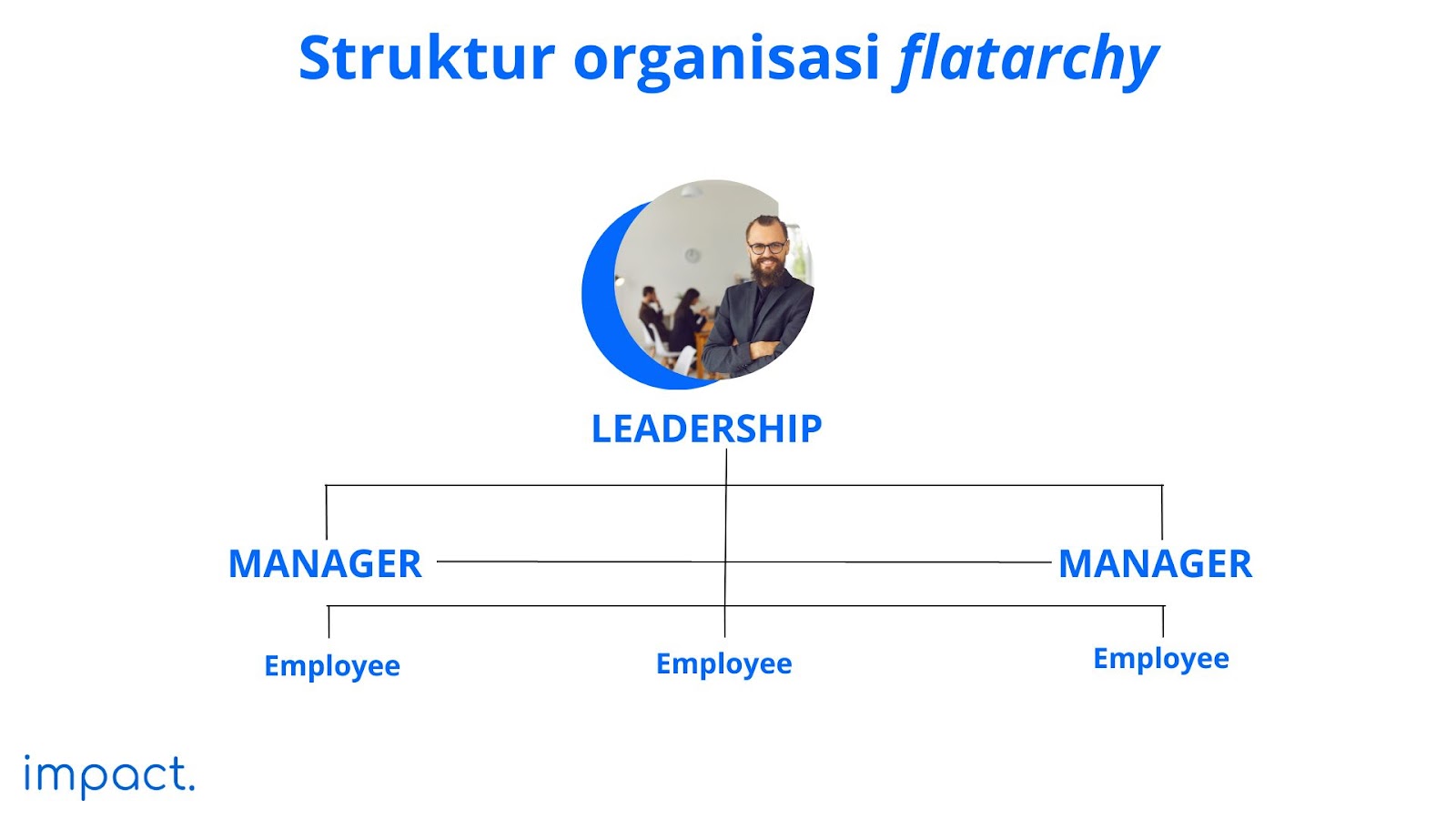  contoh struktur organisasi flatarchy