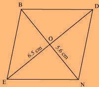 NCERT Solution For Class 8 Maths Chapter 4 Image 25