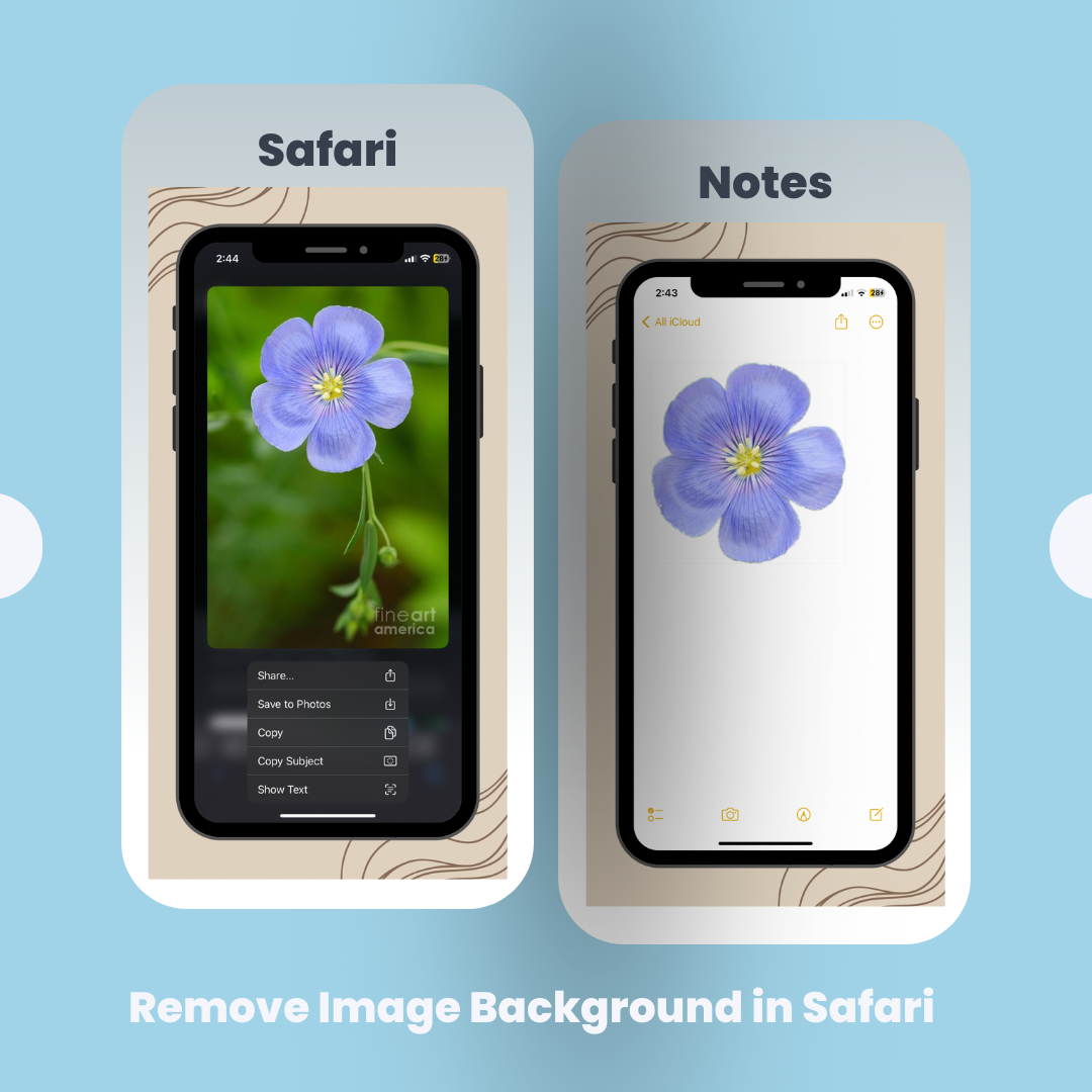 Remove image background on Safari