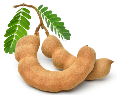 A group of tamarind on a branch

Description automatically generated