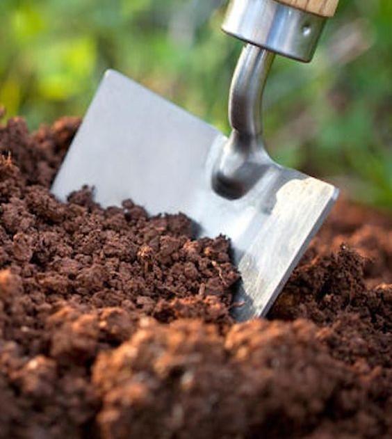 Garden Soil 