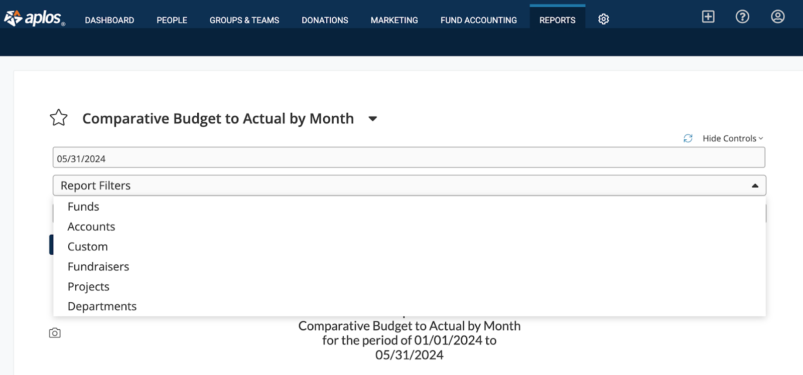 Filters on the Comparative Budget to Actual by Month Report