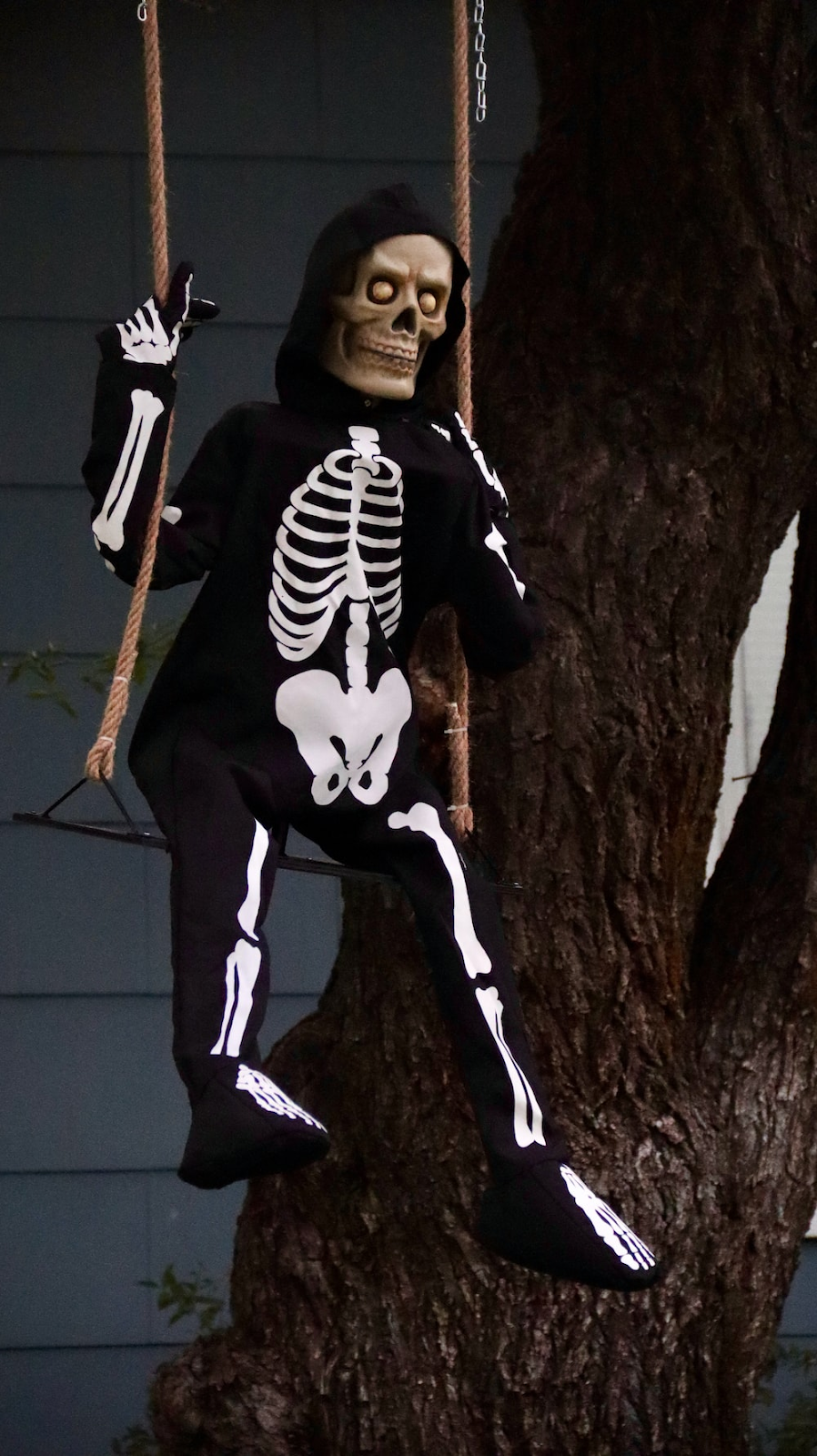 Man in Black & White Skeleton Costume on a Swing Beside Brown Tree