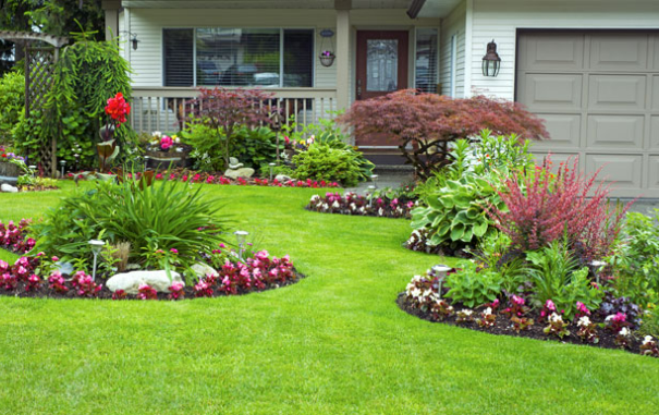 Landscaping Services: The Science Behind Them