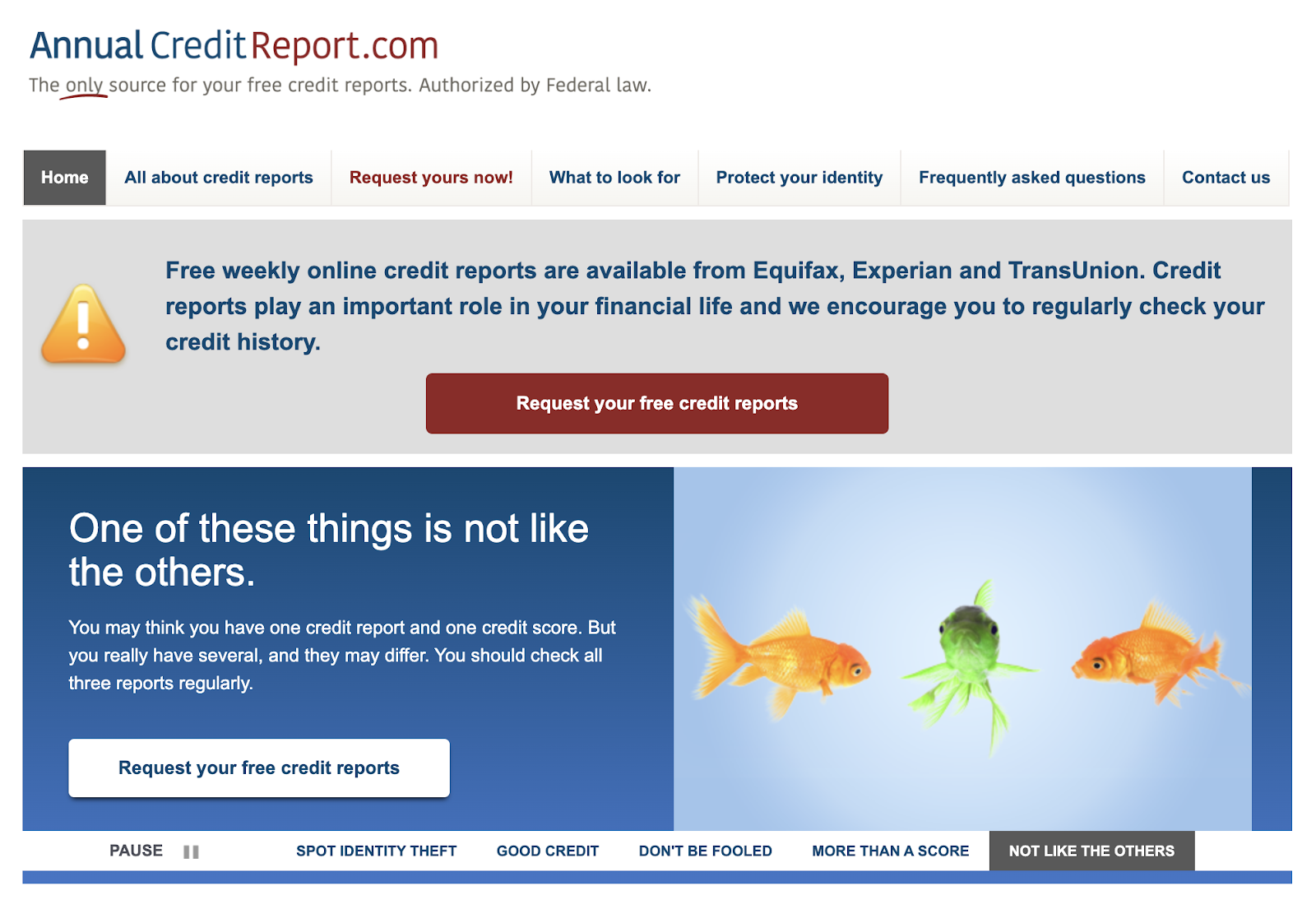 DIY credit repair online