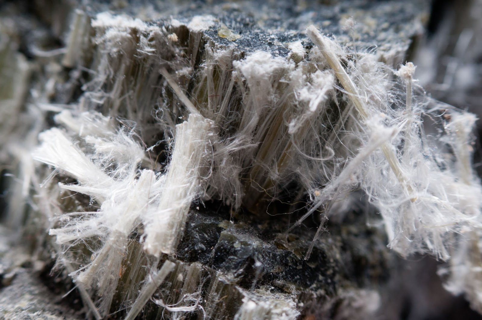 an image of exposed asbestos fibers.