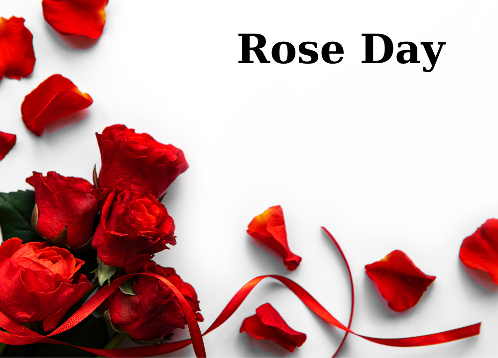 Rose Day