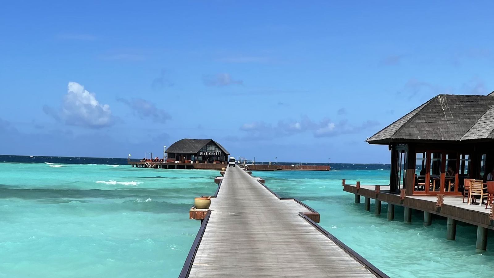 Cruise Vacation Delights Await
