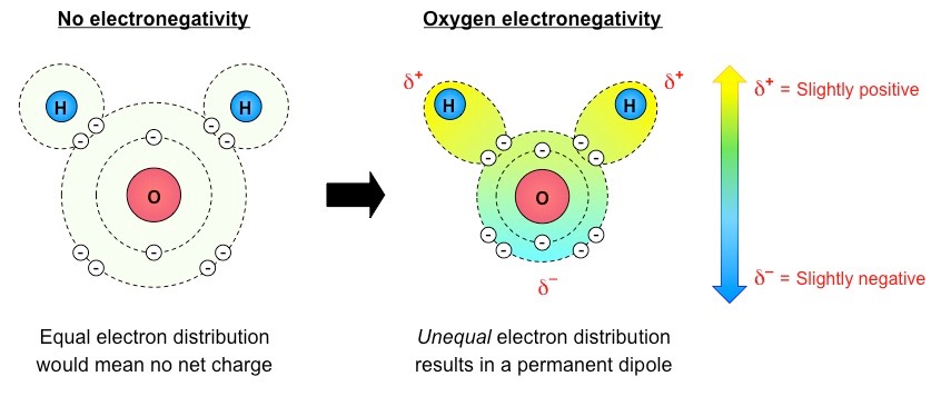 water structure