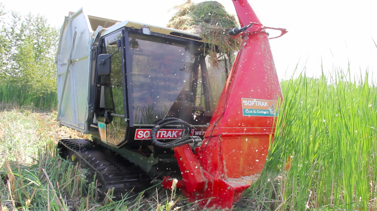 A wetland plant harvester removes non-native cattails from Cheboygan Marsh. The project, based at the U-M Biological Station, is the first large-scale effort to restore a Great Lakes wetland by harvesting invasive plants. Image credit: Levi Stroud