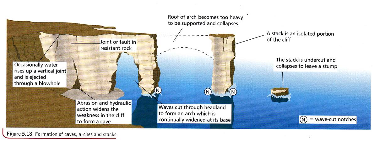 iGCSE Geography revision notes:Coasts