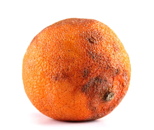 A rotten orange with a white background

Description automatically generated