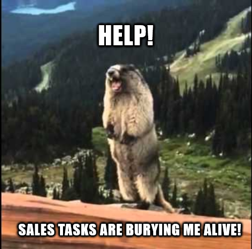 Sales Task Management