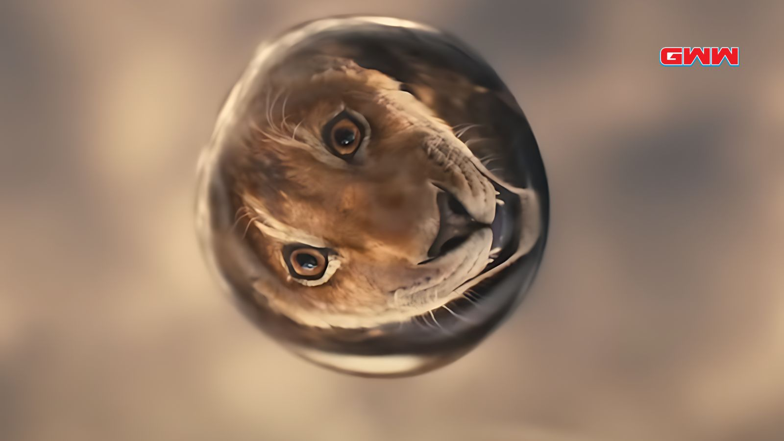 Mufasa mirando la gota de agua que refleja su rostro.
