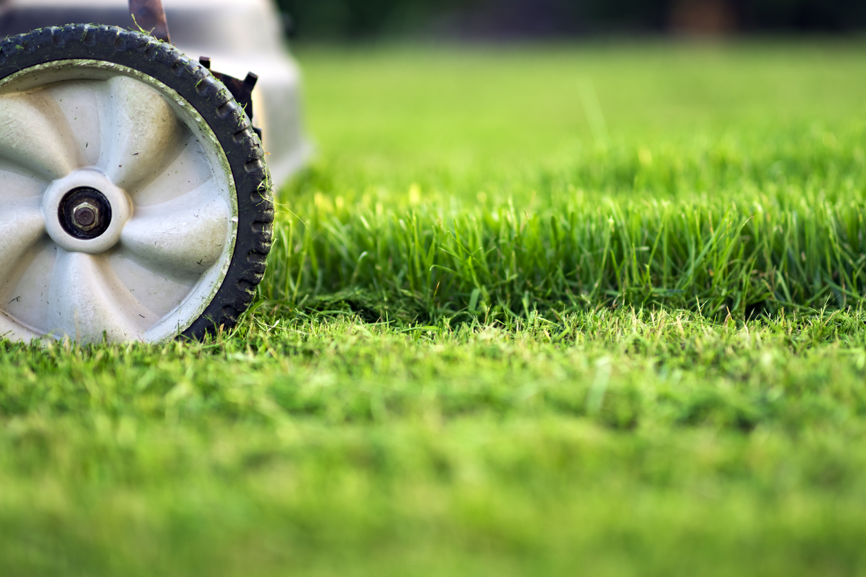 top-notch lawn mowing