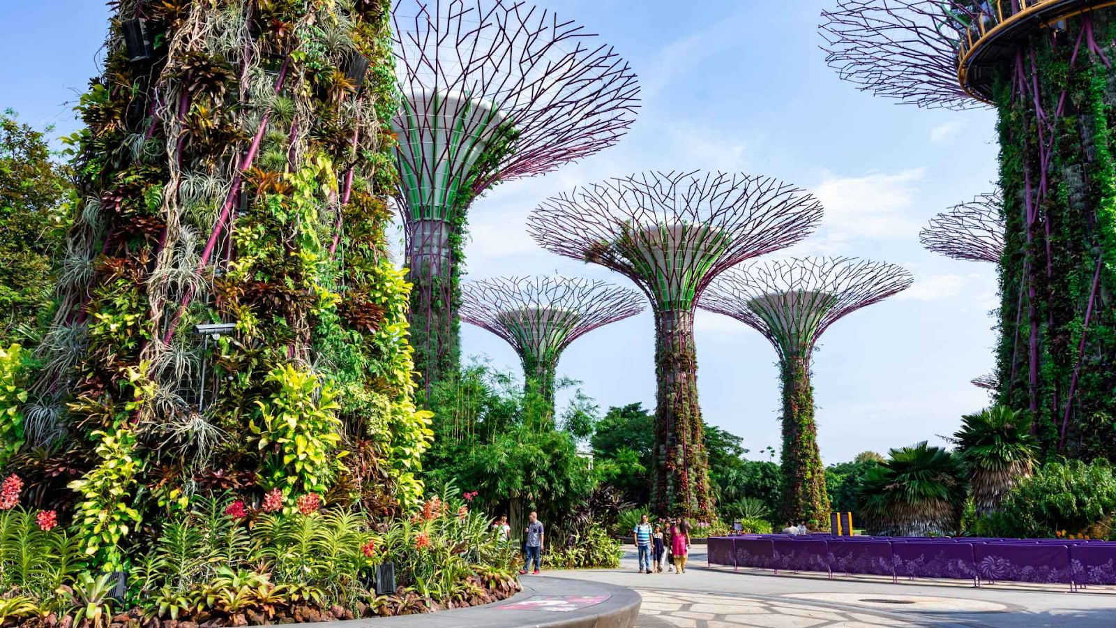 Pemandangan menakjubkan dari Supertree Grove di Gardens by the Bay di Singapura, dengan jalur pejalan kaki dikelilingi oleh struktur taman vertikal yang unik dan futuristik.