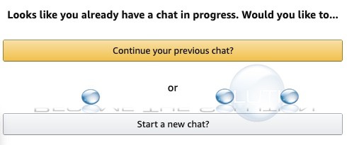 3. If a new chat window does not appear, choose either Continue your previous chat or Start a new chat.

