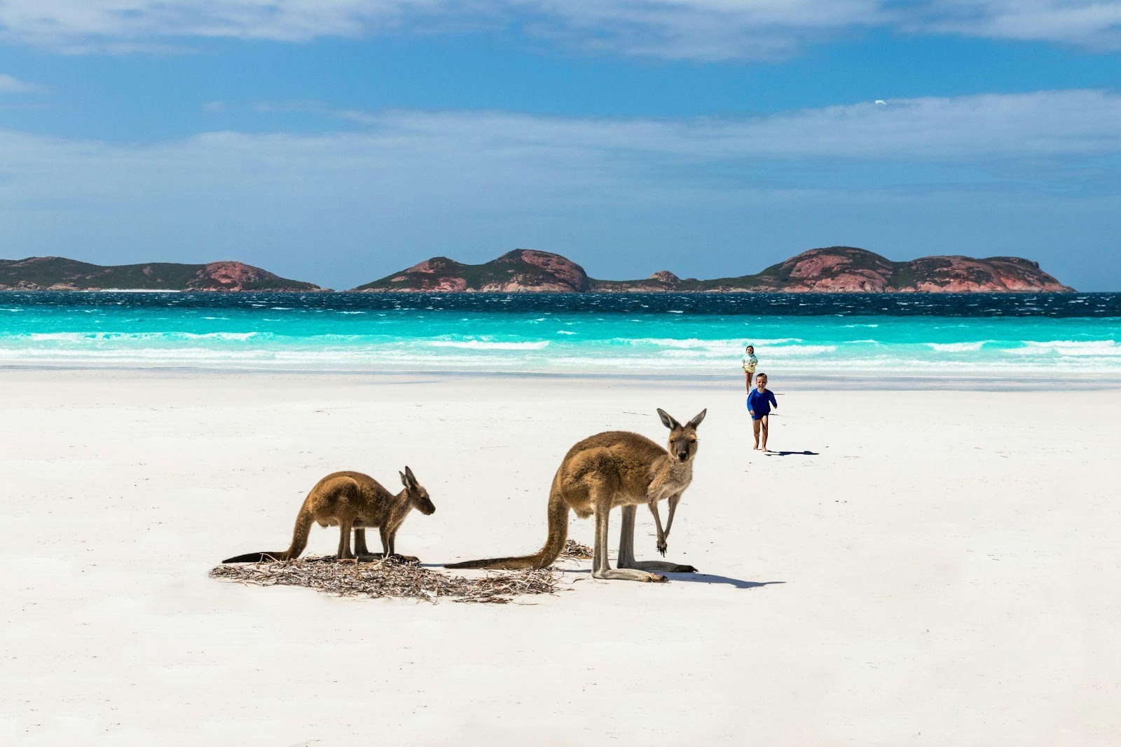 Discovering Australia: Your Passport to Unique  Experiences 3