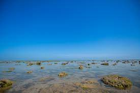 janmagar beach