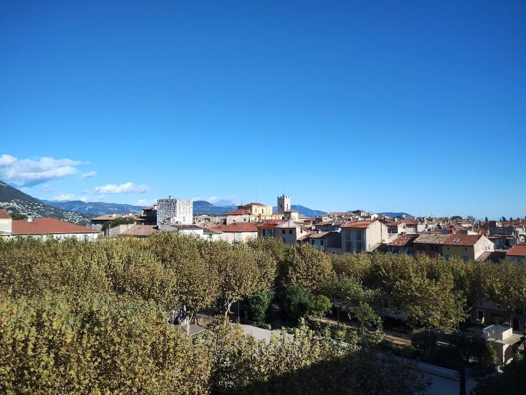 A group of trees with buildings in the background

Description automatically generated