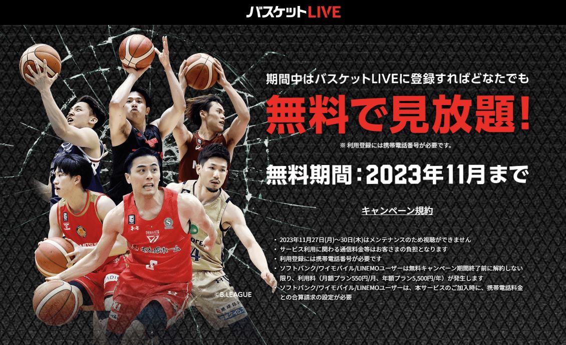 【2023】女子バスケ皇后杯の決勝はどこで見れる？無料視聴方法を紹介 | スポカレブログ